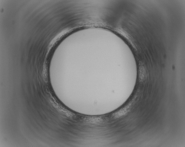 X0000067521074200604281628