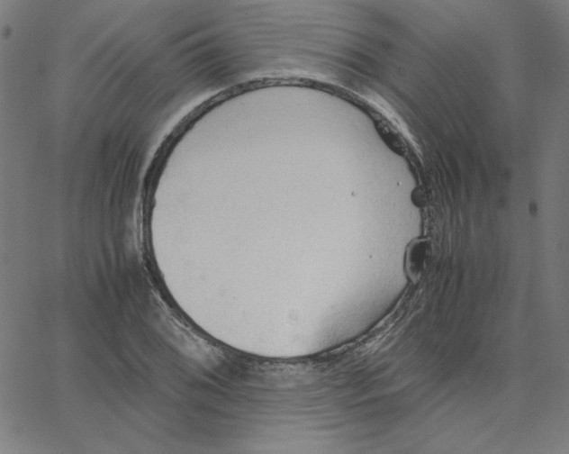 X0000067521076200604281628