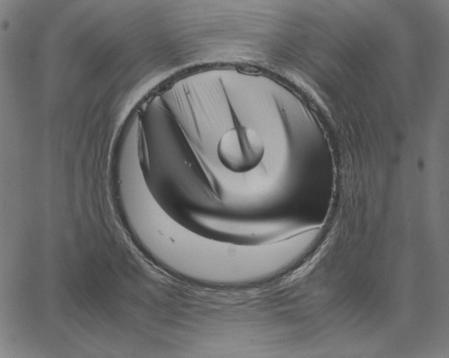 X0000067521077200604281628