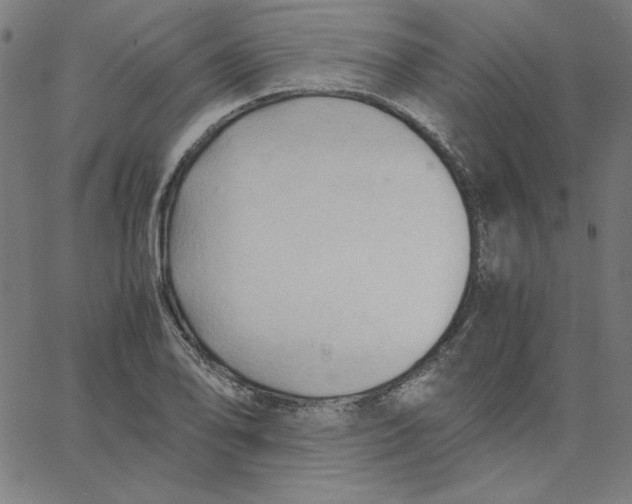 X0000067521078200604281628