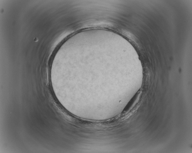 X0000067521079200604281628