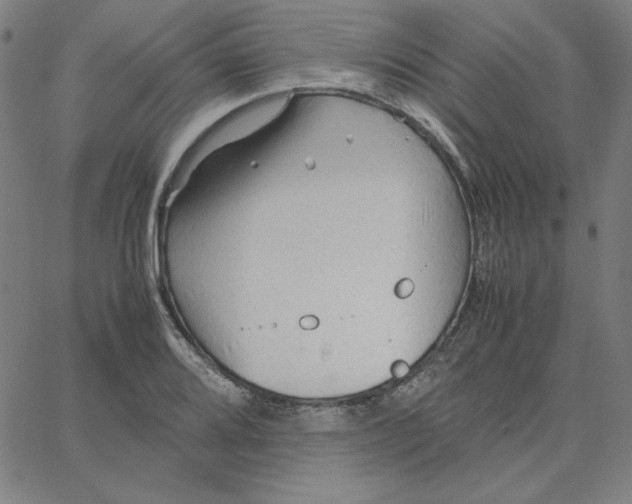 X0000067521080200604281628