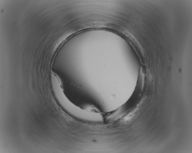 X0000067521081200604281628