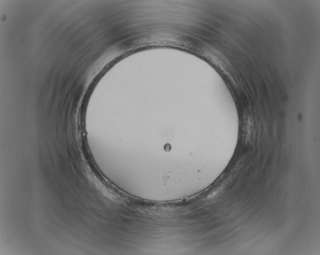 X0000067521082200604281628