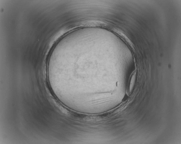 X0000067521083200604281628