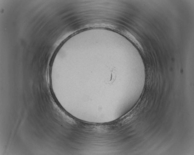 X0000067521084200604281628