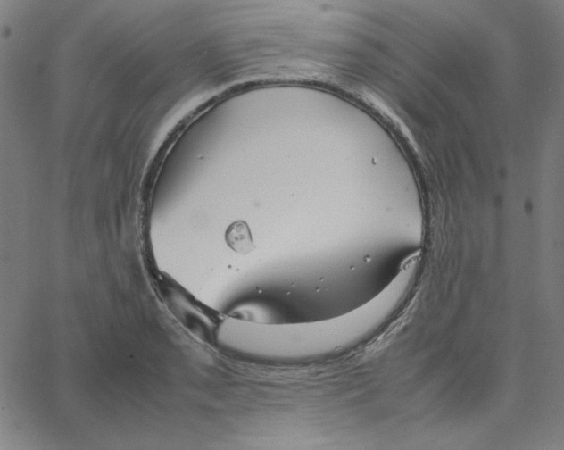 X0000067521085200604281628