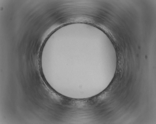 X0000067521086200604281628