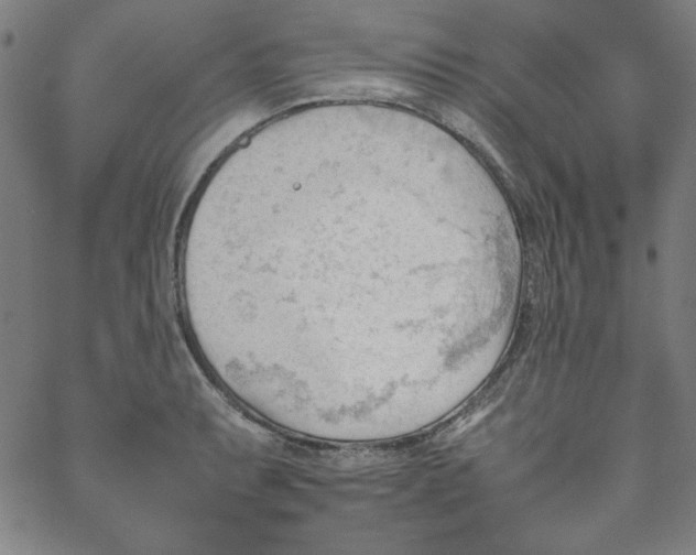 X0000067521087200604281628