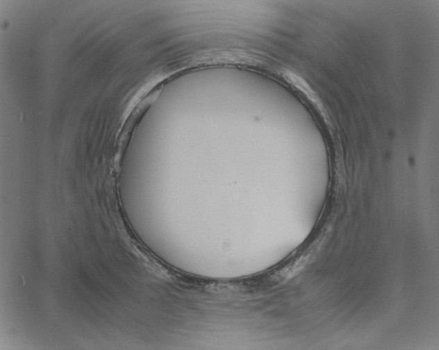 X0000067521089200604281628