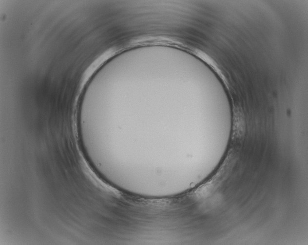 X0000067521090200604281628