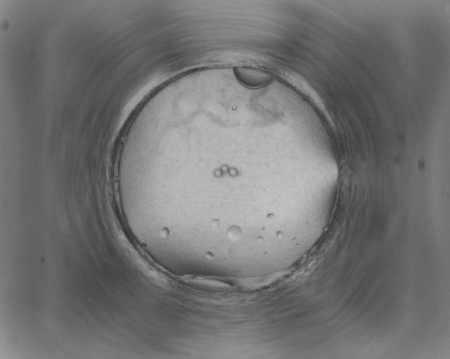 X0000067521091200604281628