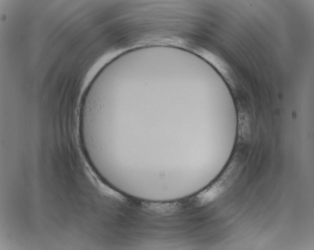 X0000067521094200604281627