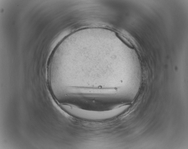 X0000067521095200604281627