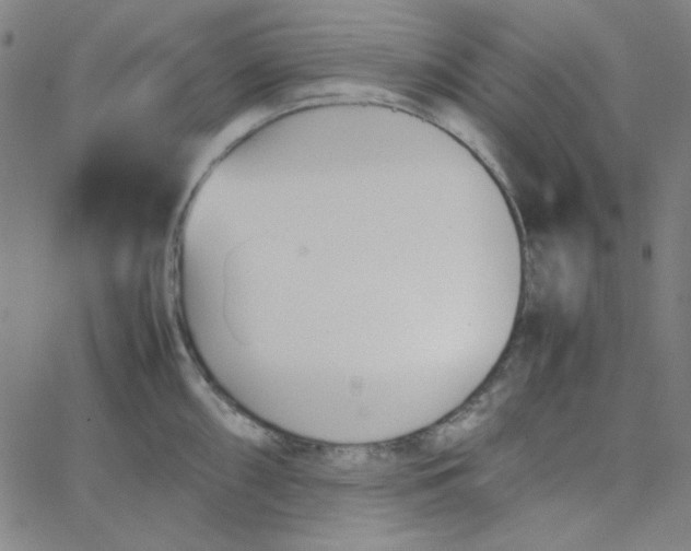 X0000067521098200604281627