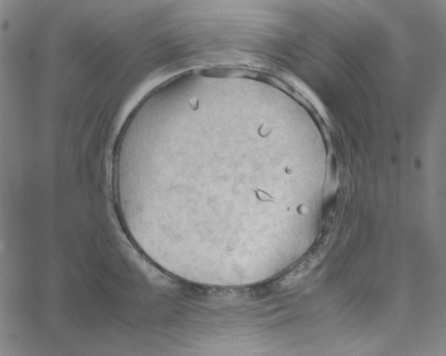 X0000067521099200604281627