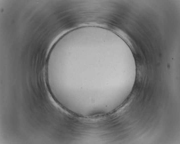 X0000067521100200604281627