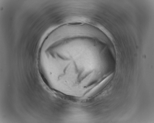 X0000067521104200604281627