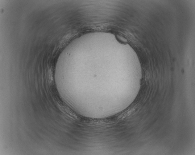 X0000067521106200604281627