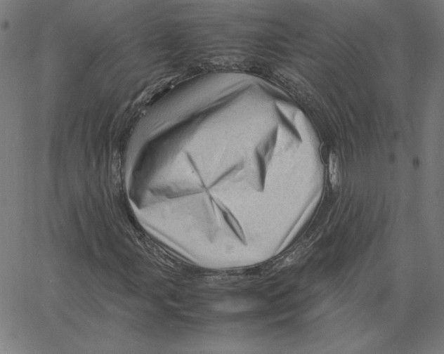 X0000067521107200604281627