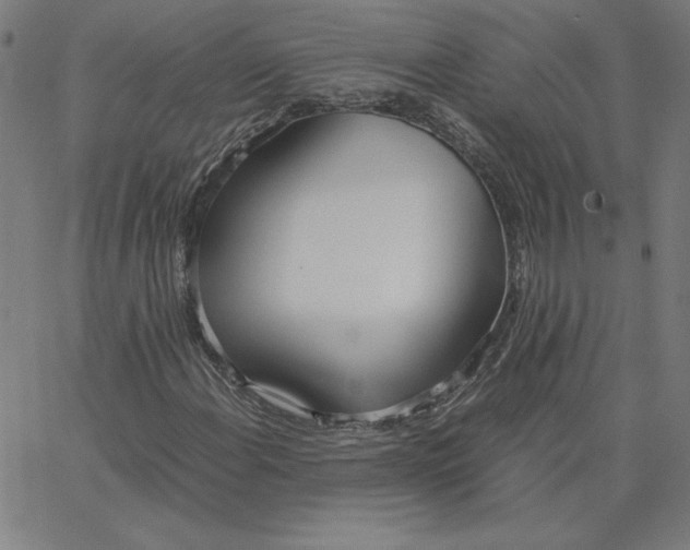 X0000067521108200604281627