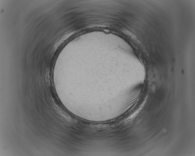 X0000067521113200604281627