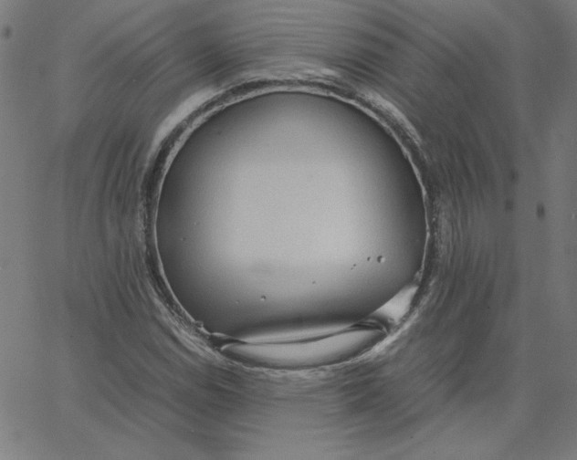 X0000067521114200604281627