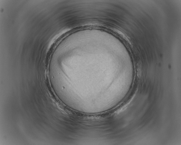 X0000067521117200604281627