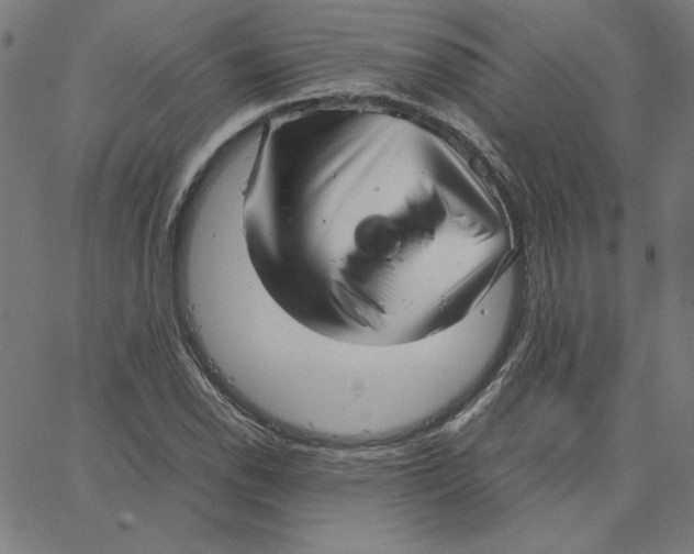 X0000067521118200604281627