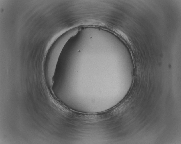 X0000067521120200604281627