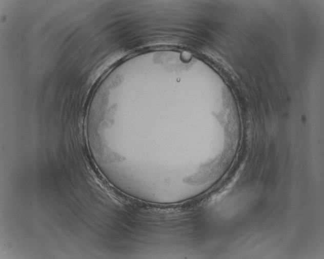 X0000067521121200604281627