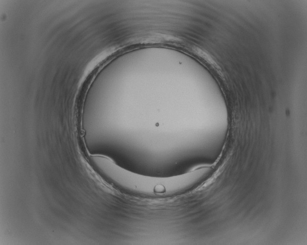 X0000067521122200604281627