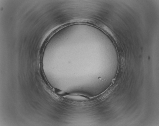 X0000067521124200604281627