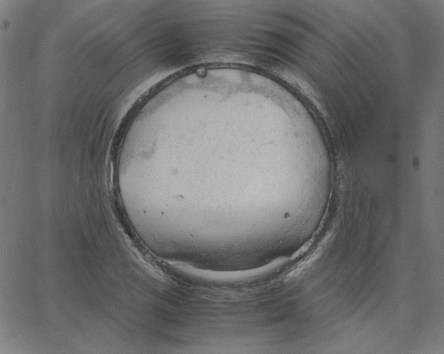 X0000067521125200604281627