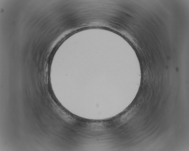 X0000067521126200604281627