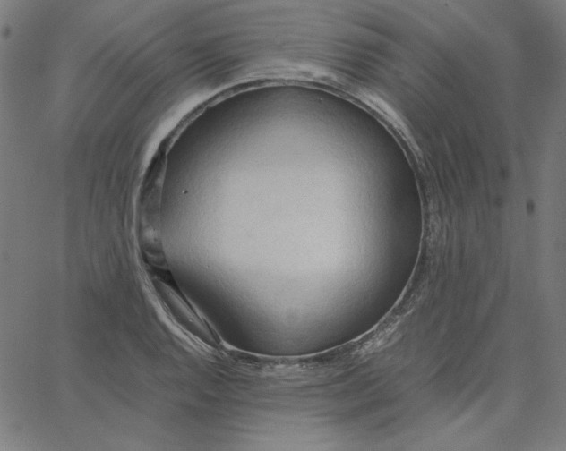 X0000067521128200604281627