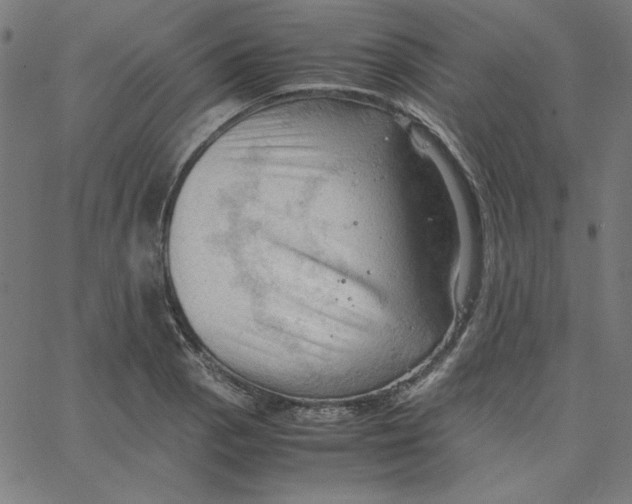 X0000067521129200604281627