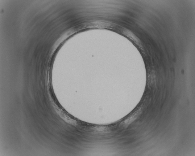 X0000067521130200604281627