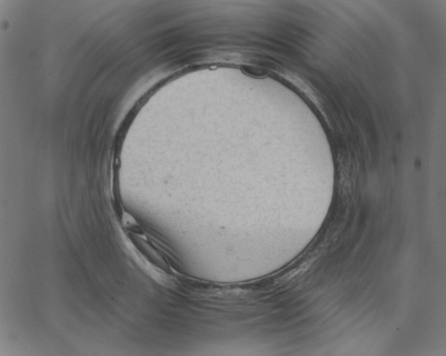 X0000067521131200604281627