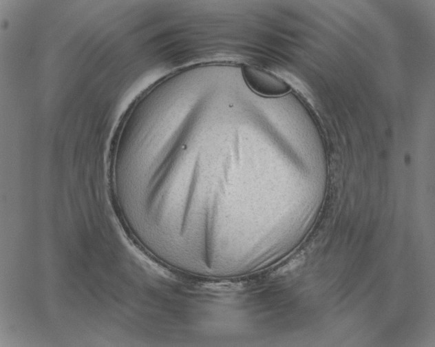 X0000067521135200604281627