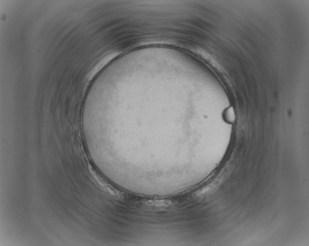 X0000067521137200604281627