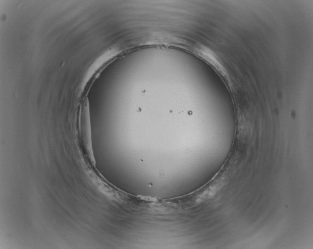 X0000067521138200604281627