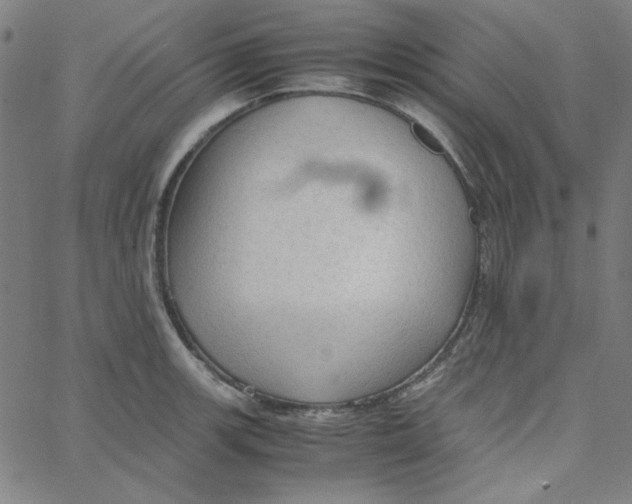 X0000067521139200604281627