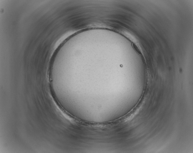 X0000067521141200604281627