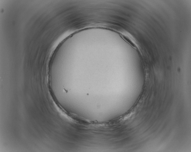 X0000067521143200604281627