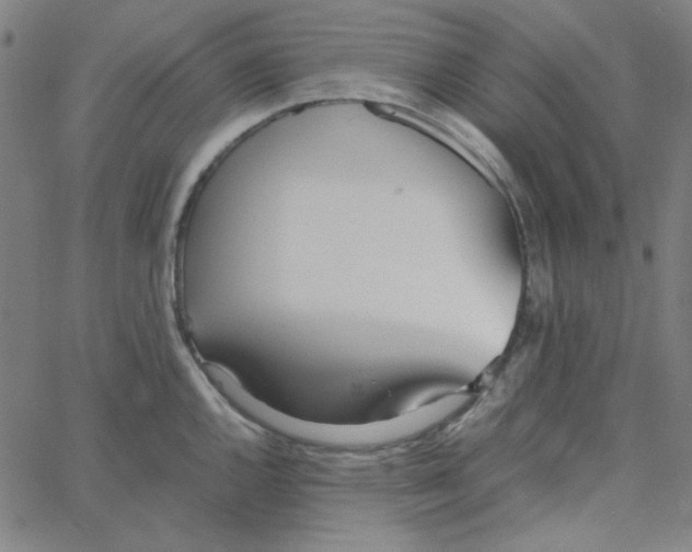 X0000067521144200604281627