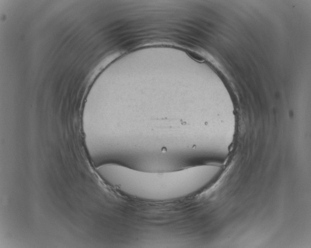 X0000067521145200604281627