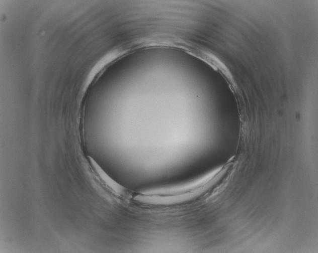 X0000067521146200604281627