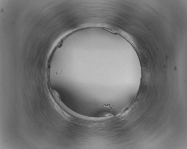 X0000067521148200604281627