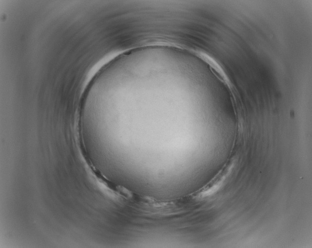 X0000067521149200604281627